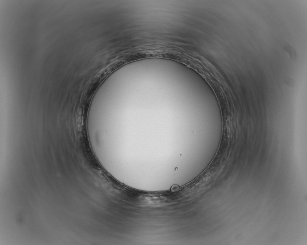 X0000111780372200908061120