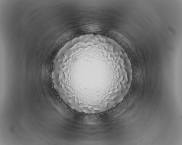 X0000111780373200908061120