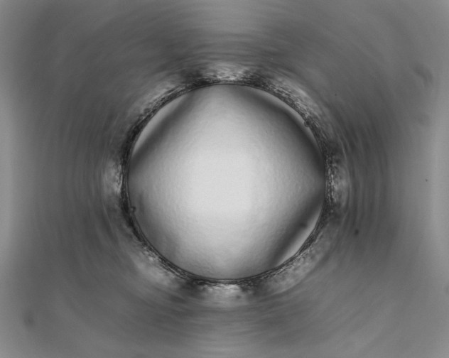 X0000111780374200908061120