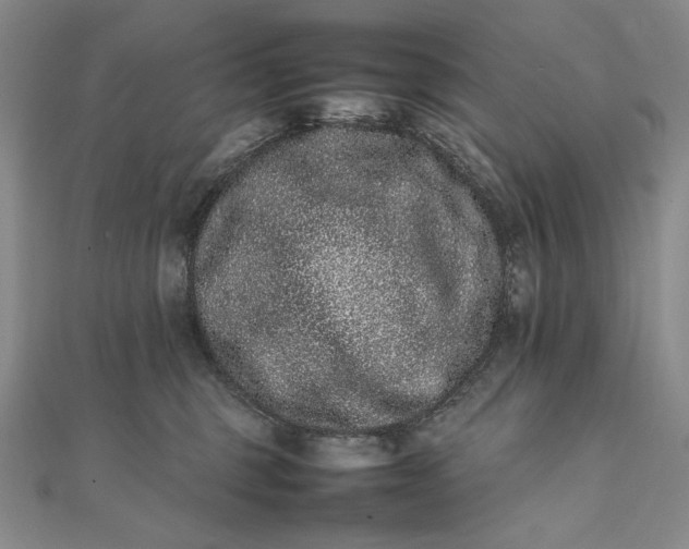 X0000111780375200908061120