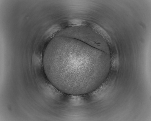 X0000111780376200908061120