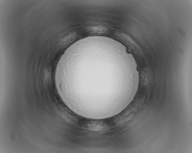 X0000111780377200908061120