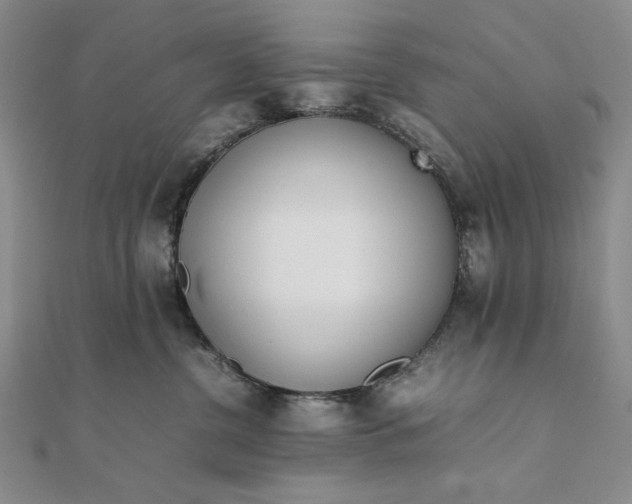 X0000111780380200908061120