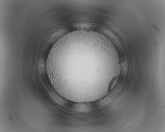 X0000111780381200908061120