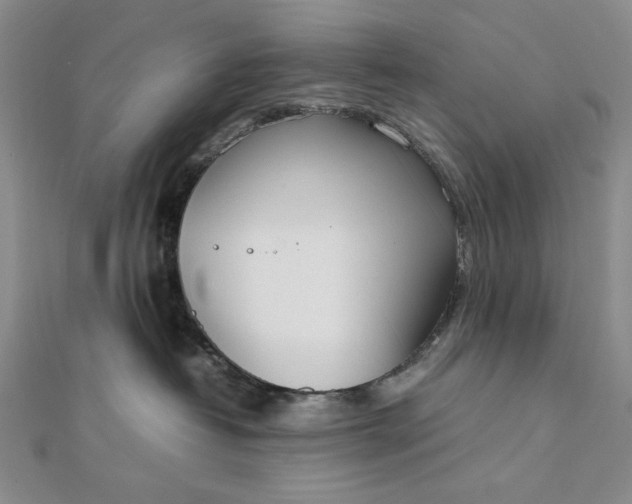 X0000111780382200908061120