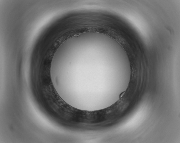 X0000111780383200908061120