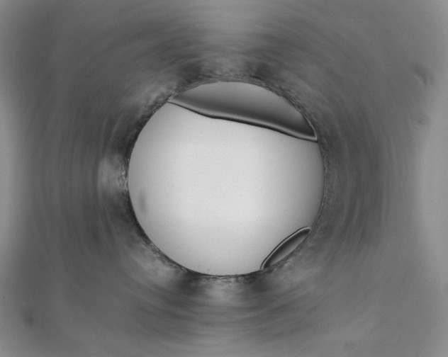 X0000111780384200908061120