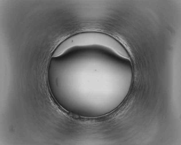 X0000111780385200908061119