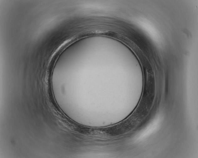 X0000111780387200908061119