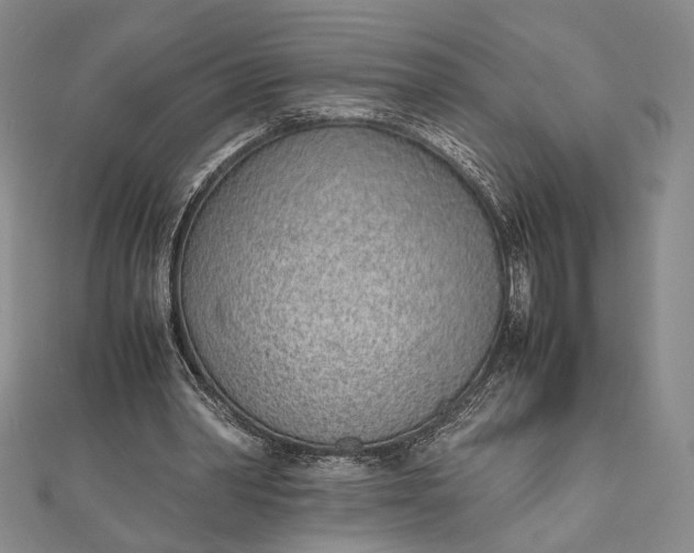 X0000111780390200908061119