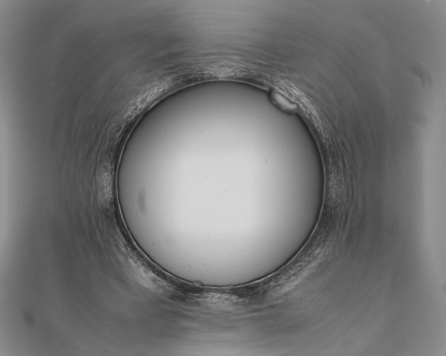 X0000111780393200908061119