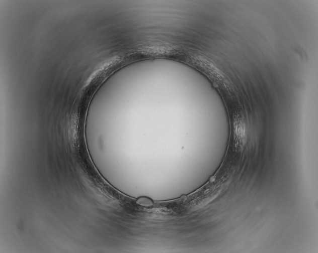 X0000111780396200908061119