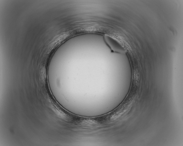 X0000111780397200908061119