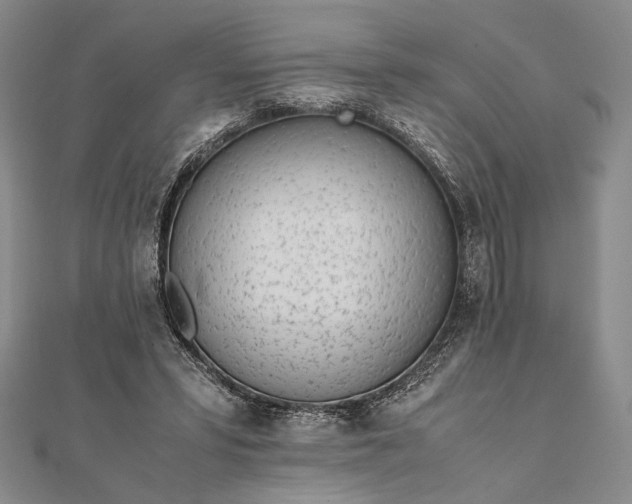 X0000111780399200908061119
