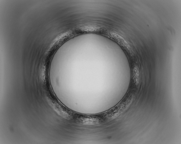 X0000111780400200908061119