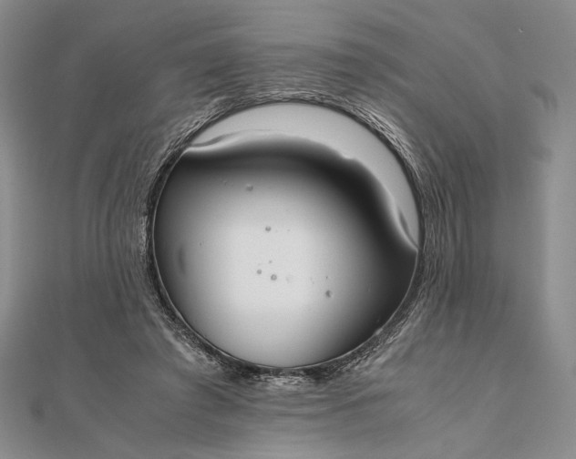X0000111780401200908061119