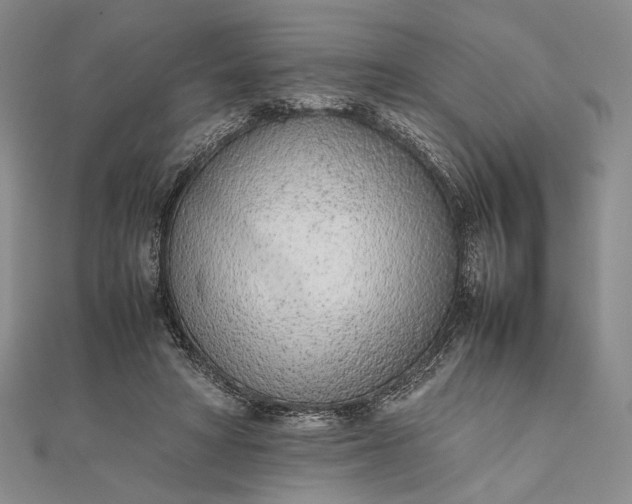 X0000111780402200908061119