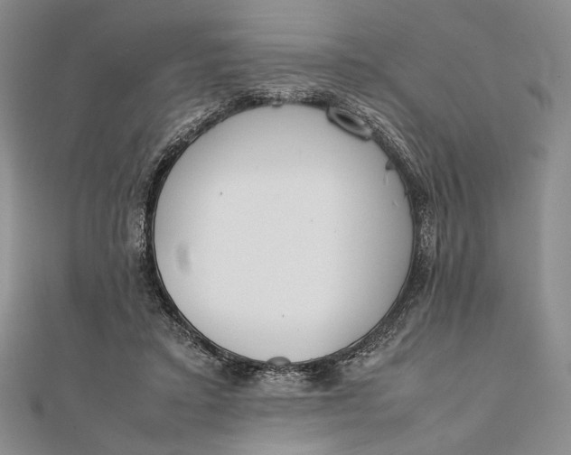X0000111780403200908061119
