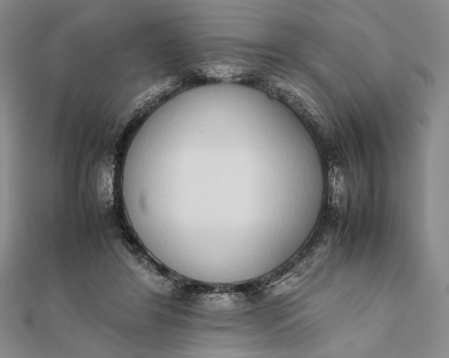 X0000111780404200908061119