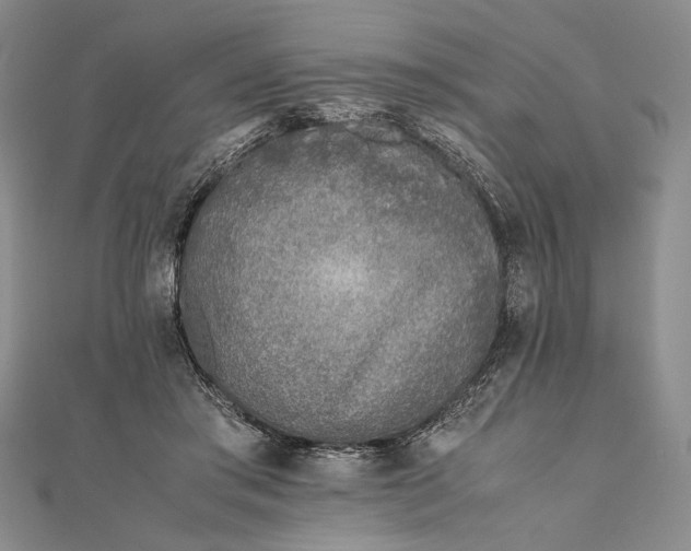 X0000111780405200908061119