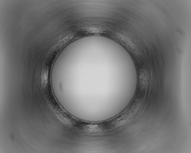 X0000111780406200908061119