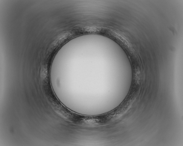 X0000111780407200908061119