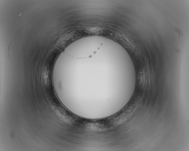 X0000111780408200908061119