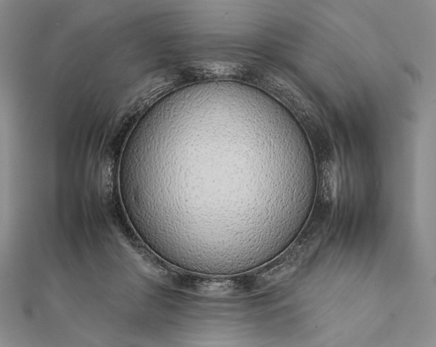 X0000111780410200908061119