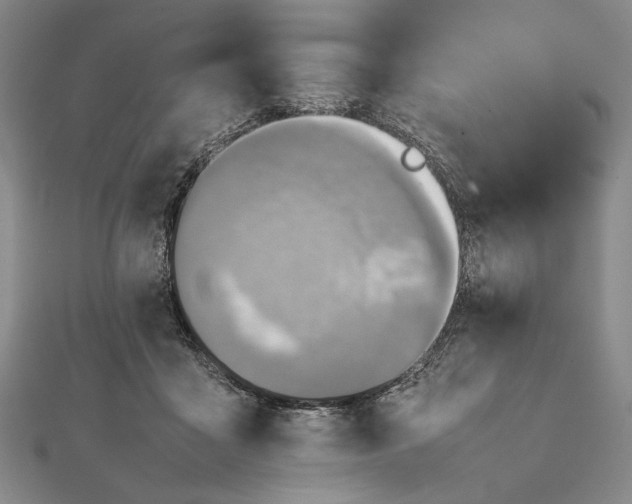X0000111780411200908061119