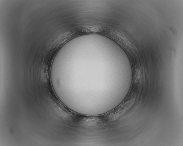 X0000111780414200908061119