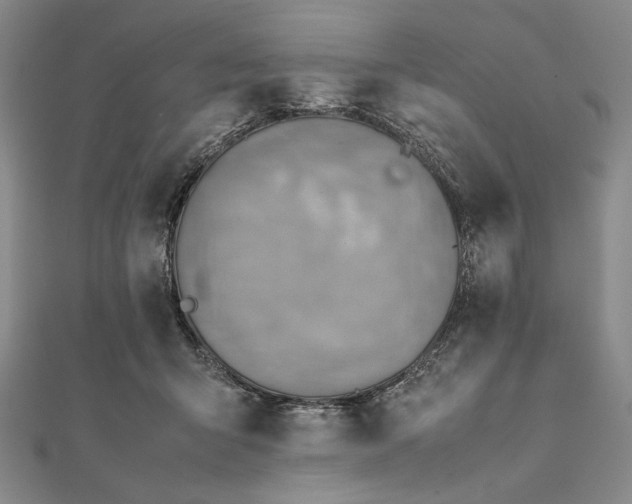 X0000111780415200908061119