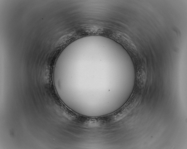 X0000111780416200908061119