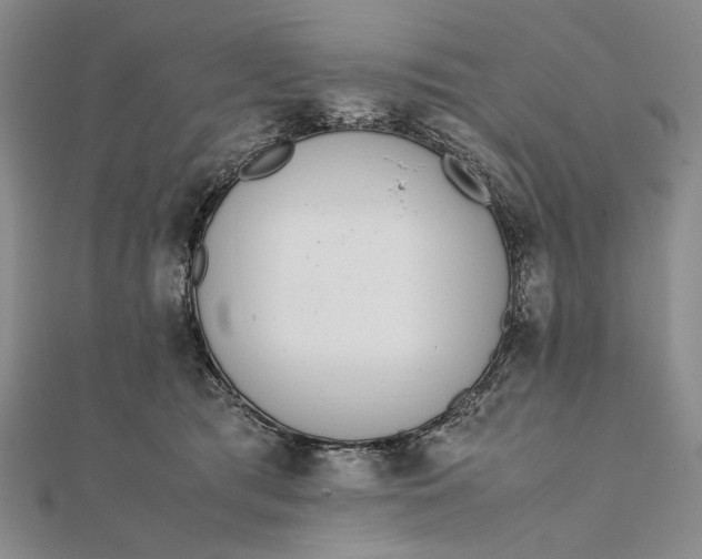 X0000111780417200908061119