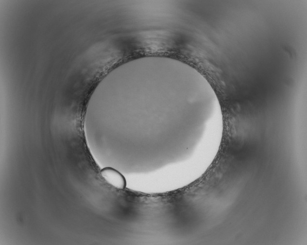X0000111780419200908061119