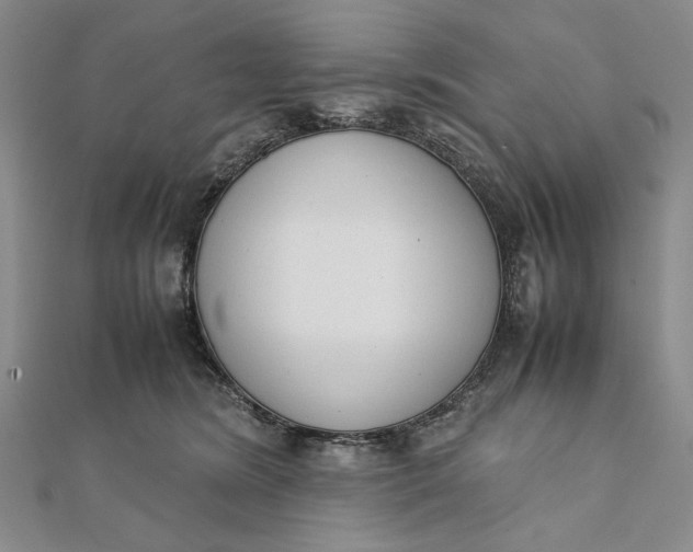 X0000111780420200908061119