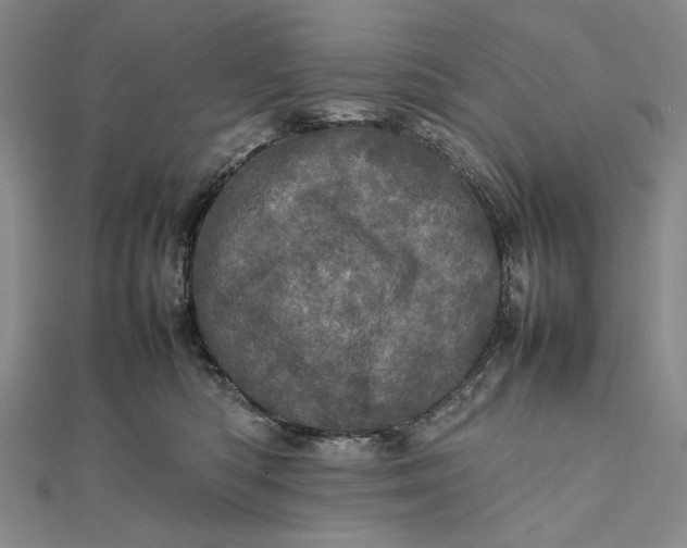 X0000111780422200908061119