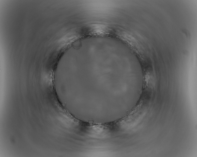 X0000111780423200908061119