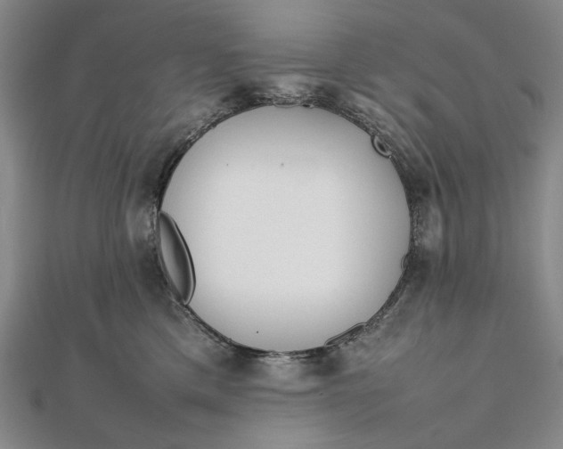 X0000111780425200908061119