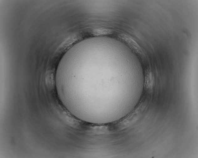 X0000111780426200908061119