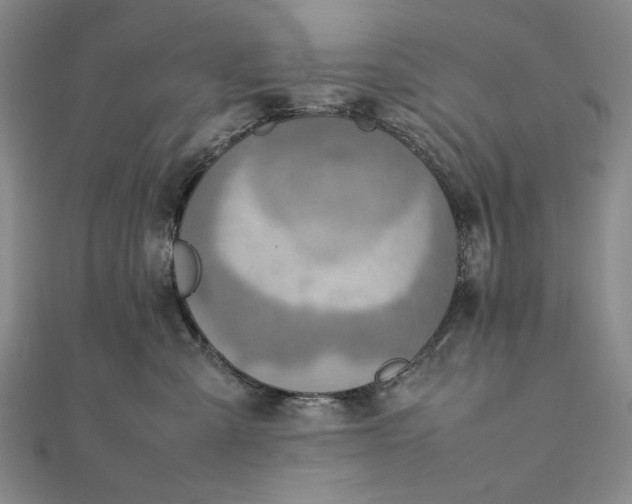 X0000111780427200908061119