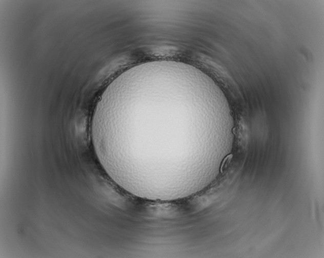 X0000111780428200908061119