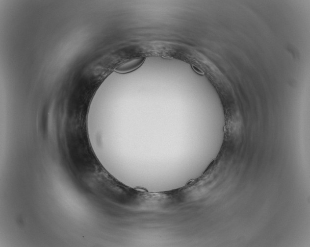 X0000111780429200908061119