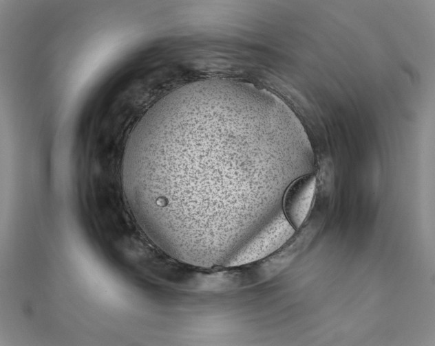 X0000111780430200908061119