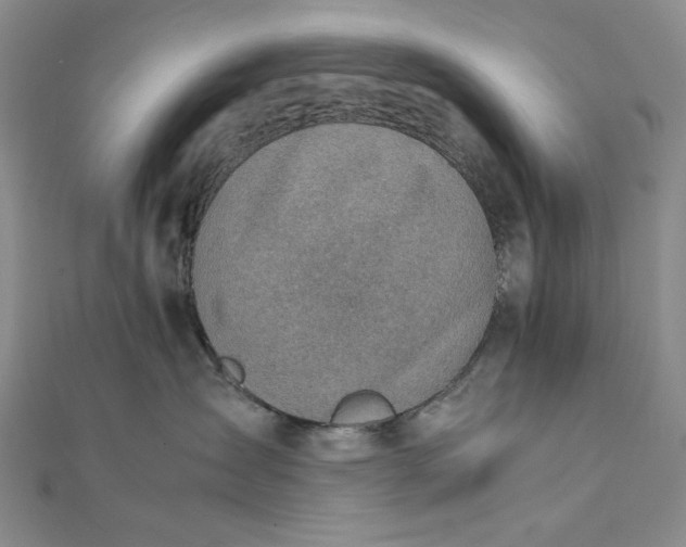 X0000111780431200908061119
