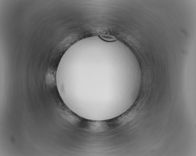 X0000111780432200908061119
