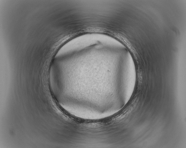 X0000111780433200908061118