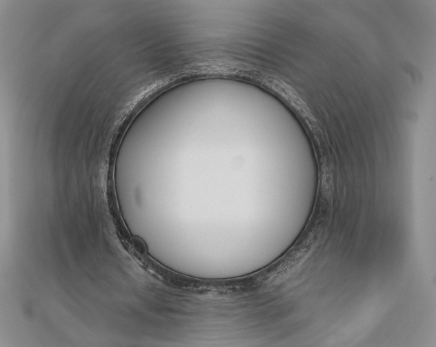 X0000111780434200908061118
