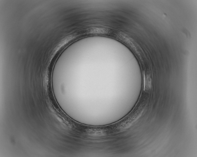 X0000111780435200908061118