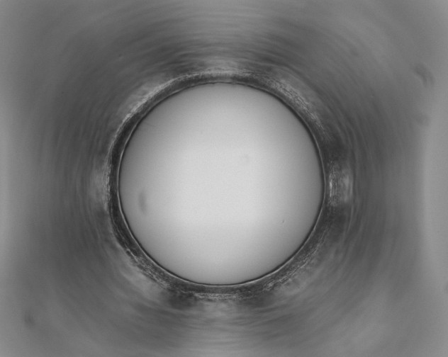 X0000111780436200908061118