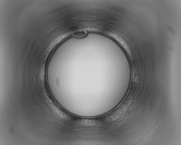 X0000111780437200908061118